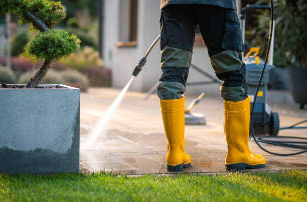 Best Affordable Pressure Washing  in Lenwood, CA